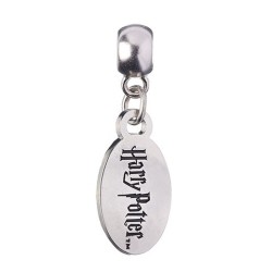 Logo Harry Potter Slider Charm The Carat Shop