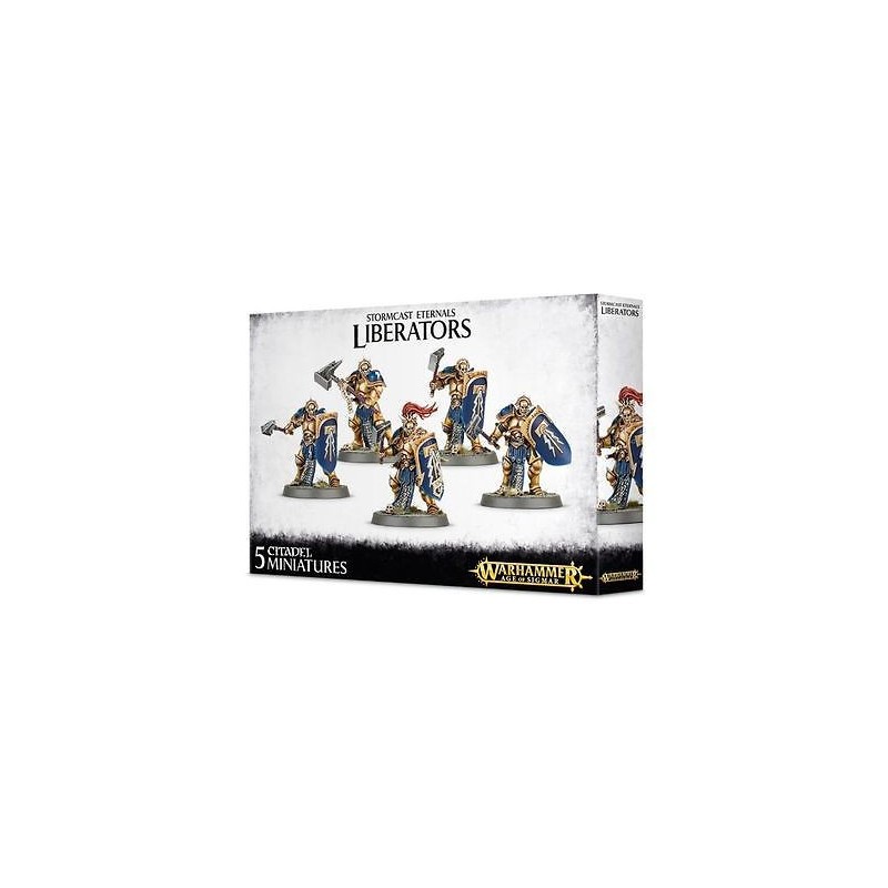 Boîte 5 Miniatures STORMCAST ETERNALS LIBERATORS Warhammer Age of Sigmar Games Workshop