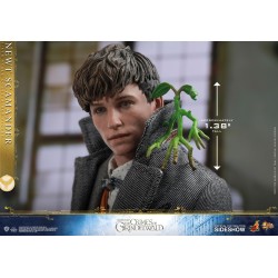 Newt Scamander MMS512 Figurine 1/6 Hot Toys
