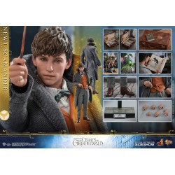 Newt Scamander MMS512 Figurine 1/6 Hot Toys