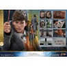 Newt Scamander MMS512 Figurine 1/6 Hot Toys