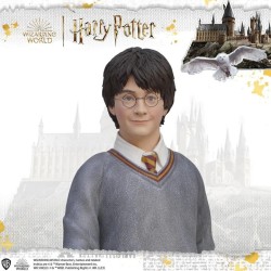 HARRY POTTER Chamber of Secrets Life Size Statue Muckle