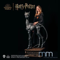 THESTRAL - HP and the Order of the Phoenix Life Size Statue Muckle