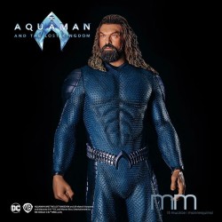 AQUAMAN - Aquaman and The Lost Kingdom (2023) Life Size Statue Muckle