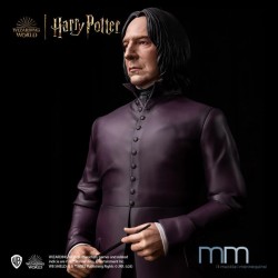 SEVERUS SNAPE - Harry Potter and the Chamber of Secrets Life Size Statue Muckle