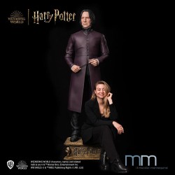SEVERUS SNAPE - Harry Potter and the Chamber of Secrets Life Size Statue Muckle
