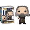 ABERFORTH DUMBLEDORE POP! Harry Potter 190 Figurine Funko