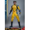 WOLVERINE DELUXE SET - Deadpool & Wolverine MMS754 Figurine 1/6 Hot Toys