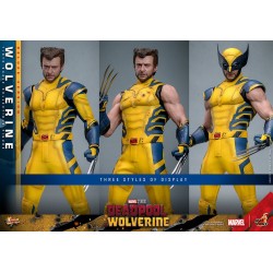 WOLVERINE DELUXE SET - Deadpool & Wolverine MMS754 Figurine 1/6 Hot Toys