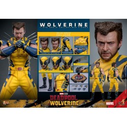 WOLVERINE DELUXE SET - Deadpool & Wolverine MMS754 Figurine 1/6 Hot Toys