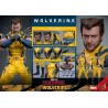 WOLVERINE DELUXE SET - Deadpool & Wolverine MMS754 Figurine 1/6 Hot Toys