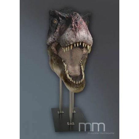 T-Rex 1 (Gueule Ouverte) Tête Taille Réelle Oxmox