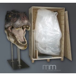 T-Rex 1 (Gueule Ouverte) Tête Taille Réelle Oxmox