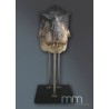 T-Rex 2 (Gueule Fermée) Tête Taille Réelle Oxmox