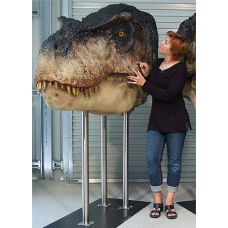 T-Rex 2 (Gueule Fermée) Tête Taille Réelle Oxmox