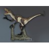 Deinonychus RA-1 (Raptor) Statue Taille Réelle Oxmox