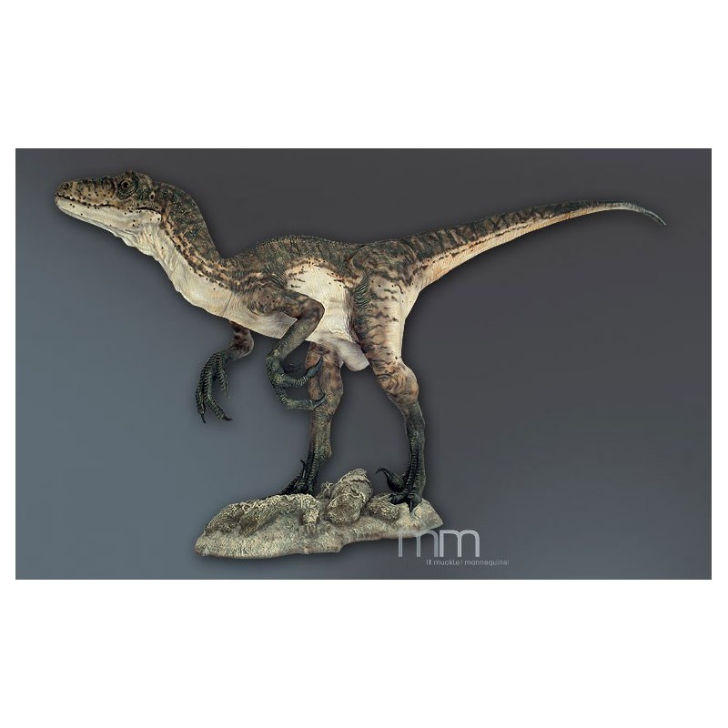 Deinonychus RA-2 (Raptor) Statue Taille Réelle Oxmox