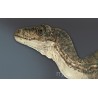 Deinonychus RA-2 (Raptor) Statue Taille Réelle Oxmox