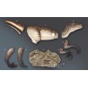 Deinonychus RA-2 (Raptor) Statue Taille Réelle Oxmox