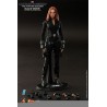 Black Widow - Captain America: The Winter Soldier Figurine 1/6 Hot Toys