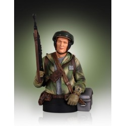 Endor Rebel Trooper Mini Buste Gentle Giant