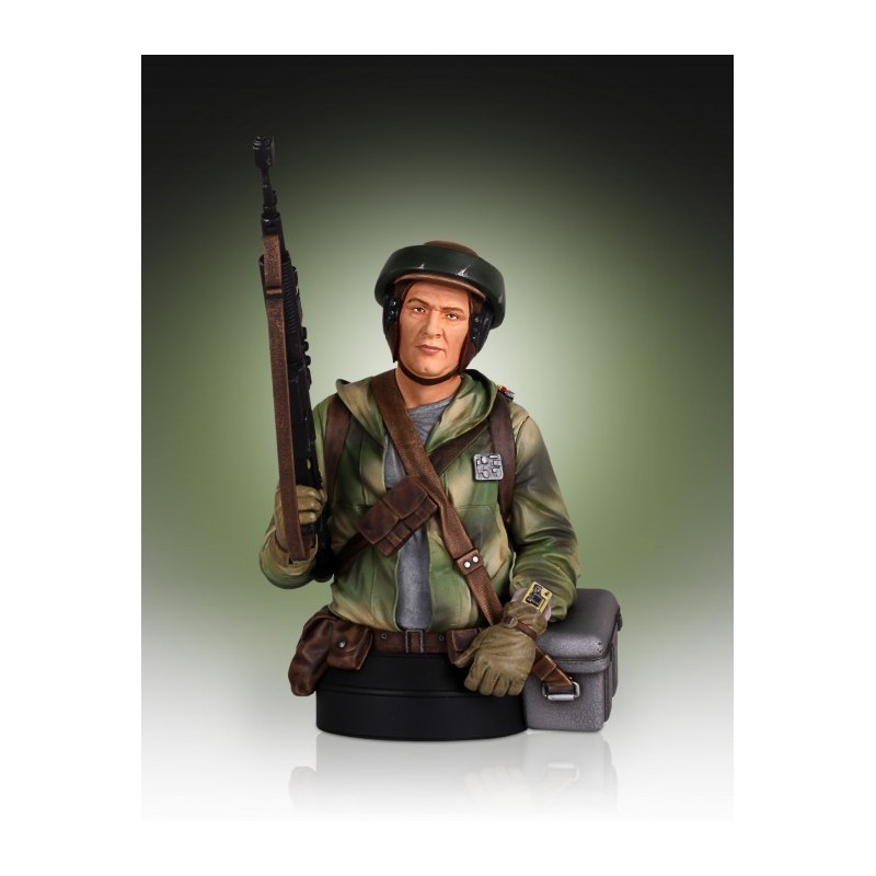 Endor Rebel Trooper Mini Buste Gentle Giant