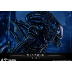 Alien Warrior - Aliens Figurine 1/6 Hot Toys