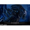 Alien Warrior - Aliens Figurine 1/6 Hot Toys
