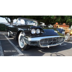 Thunderbird 1959 KICKASS License Plate Elvira, Mistress of the Dark
