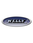 Welly